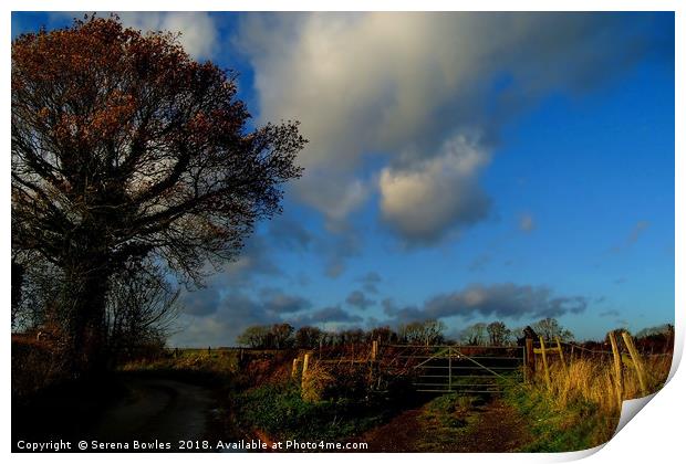 Blue Skies and Clouds above Kent Country Lane and  Print by Serena Bowles