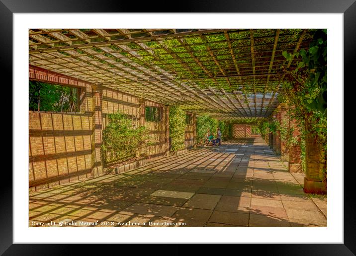 The Sun Pavilion Terrace Framed Mounted Print by Colin Metcalf