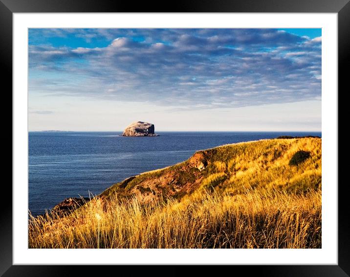 Bass Rock, Scotland Framed Mounted Print by Philip Teale