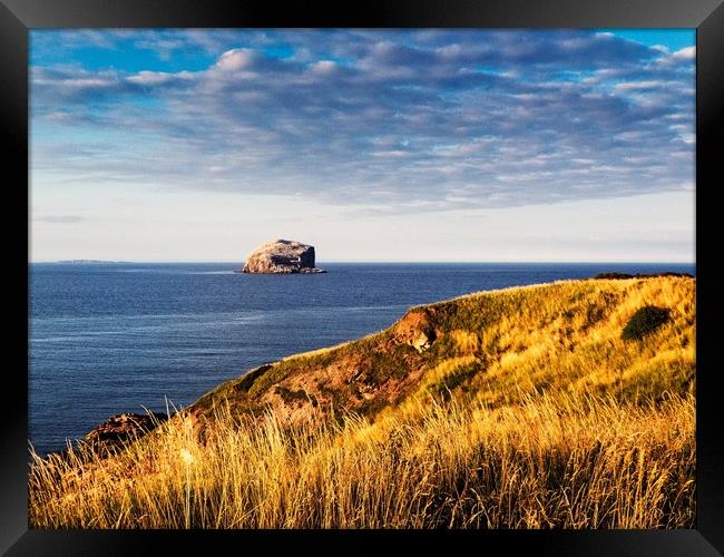 Bass Rock, Scotland Framed Print by Philip Teale