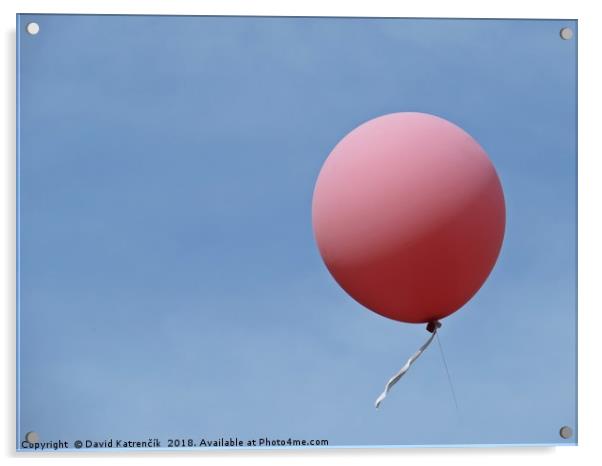 Isolated Pink Helium Balloon Flying with Blue Sky  Acrylic by David Katrenčík