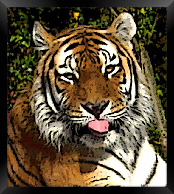Tiger Framed Print by Zoe Anderson