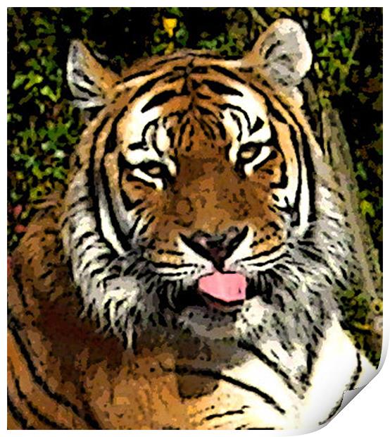 Tiger Print by Zoe Anderson