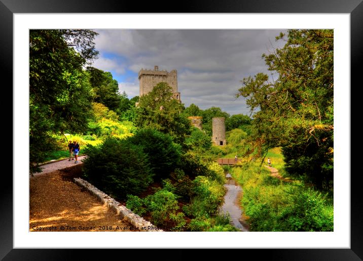 Blarney Castle and Gardens Framed Mounted Print by Tom Gomez