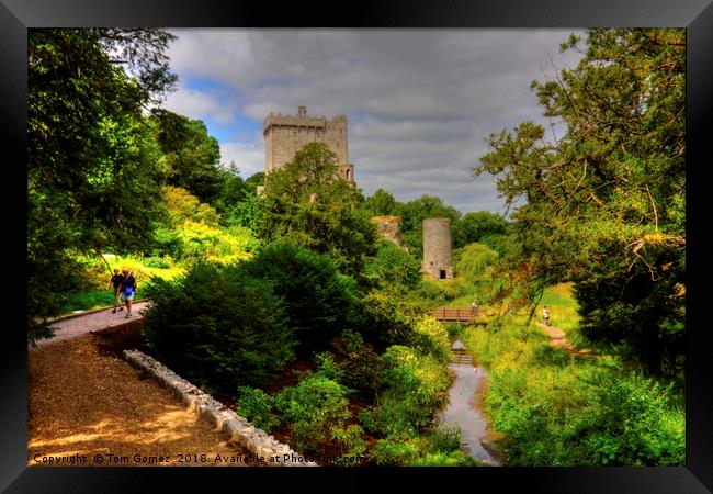 Blarney Castle and Gardens Framed Print by Tom Gomez