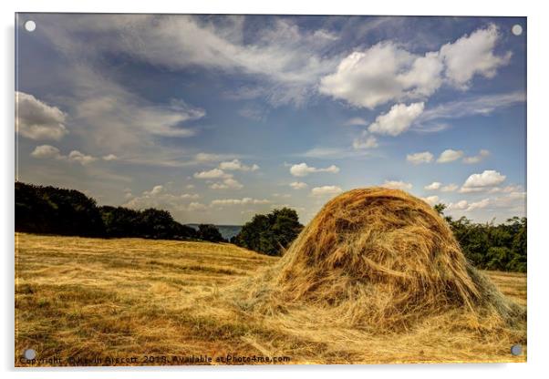 Hay Bale Acrylic by Kevin Arscott
