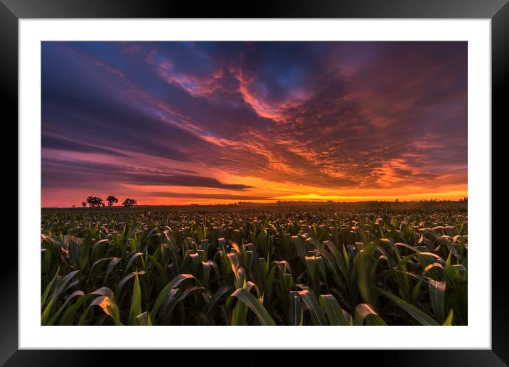 South Dakota sunrise  Framed Mounted Print by John Finney