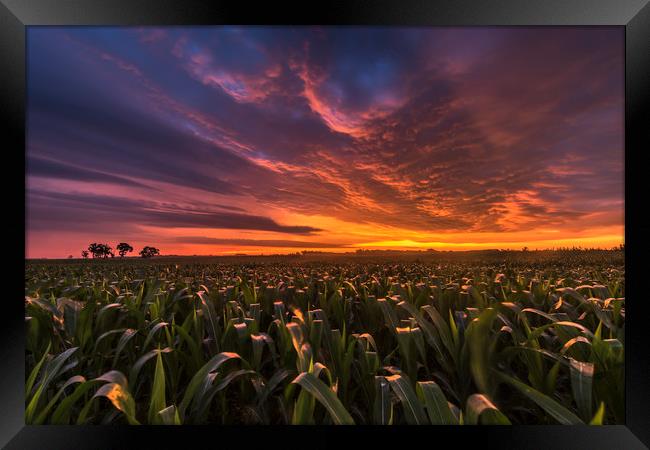 South Dakota sunrise  Framed Print by John Finney