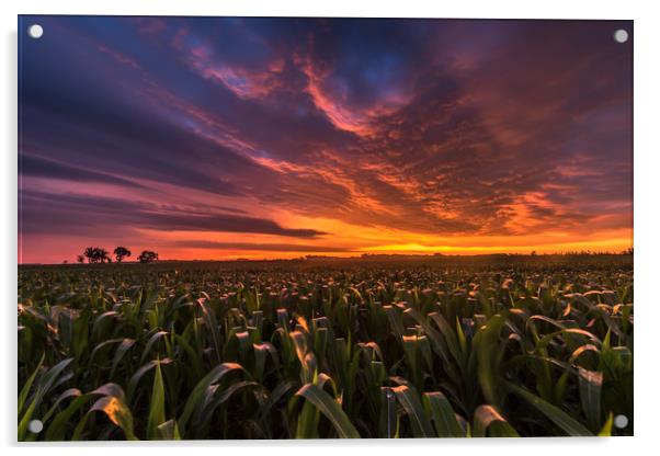 South Dakota sunrise  Acrylic by John Finney