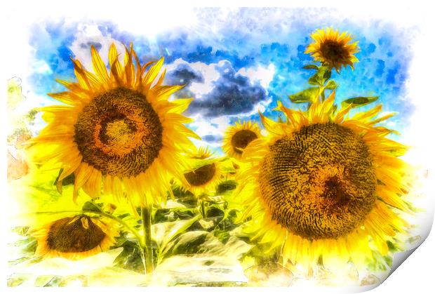 Sunflowers Art Print by David Pyatt