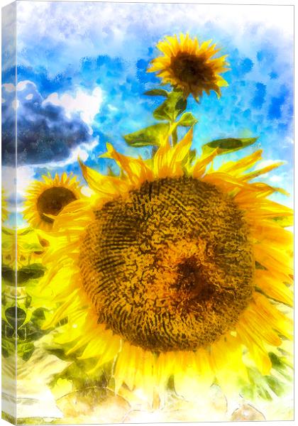Summer Sunflowers Art Canvas Print by David Pyatt