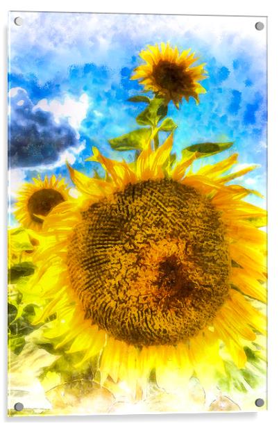 Summer Sunflowers Art Acrylic by David Pyatt