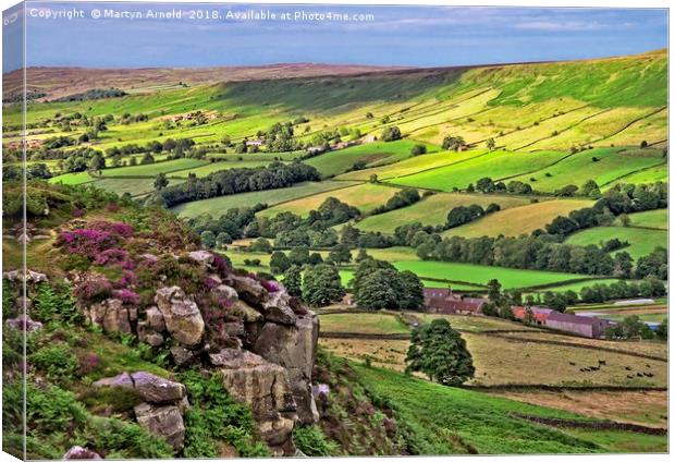 Danby Dale, North York Moors Canvas Print by Martyn Arnold