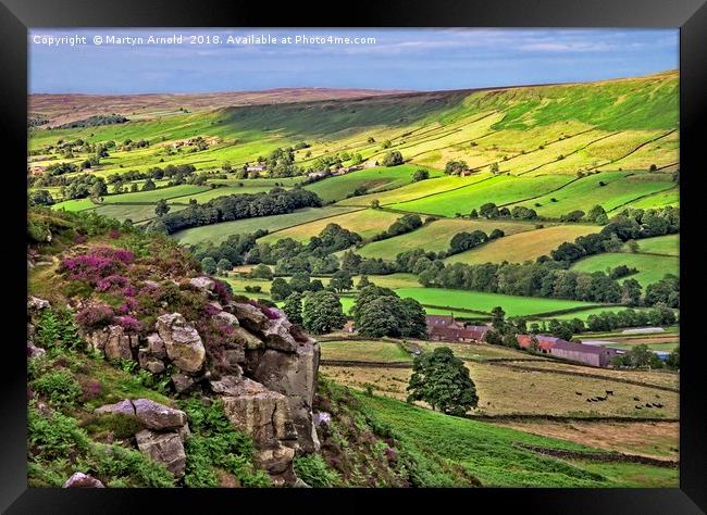 Danby Dale, North York Moors Framed Print by Martyn Arnold