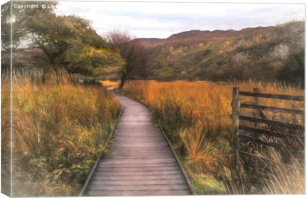 Autumn in Borrowdale, Cumbria Canvas Print by Linsey Williams
