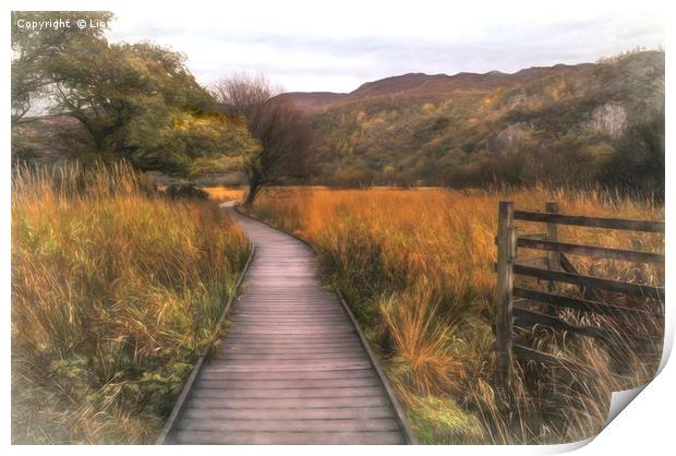 Autumn in Borrowdale, Cumbria Print by Linsey Williams