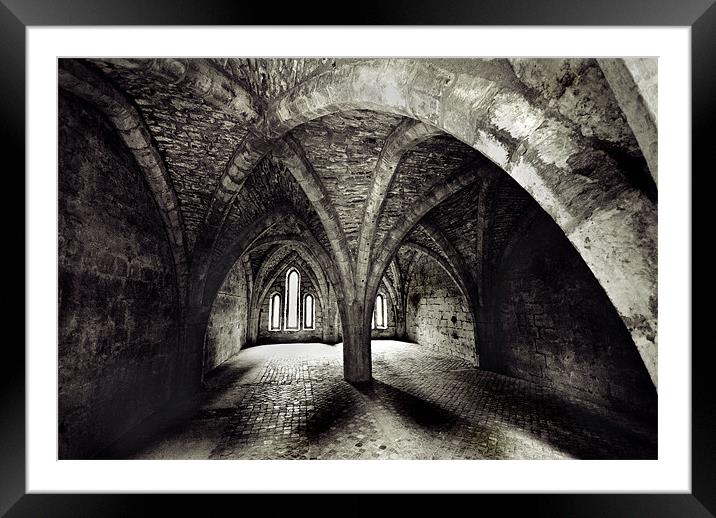 Fountains Abbey Mono Framed Mounted Print by colin ashworth