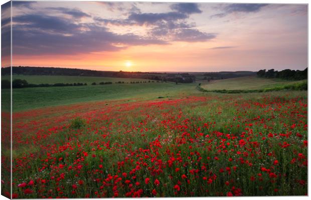 Poppy sunset Canvas Print by Stewart Mckeown
