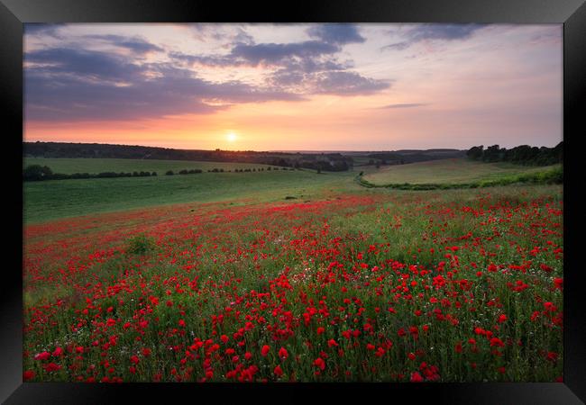 Poppy sunset Framed Print by Stewart Mckeown