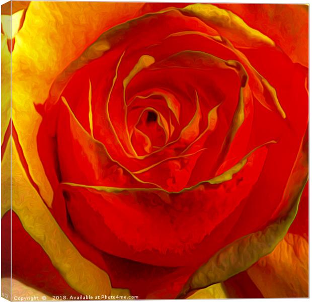 Bursting Radiance of Amber Rose Canvas Print by Catchavista 