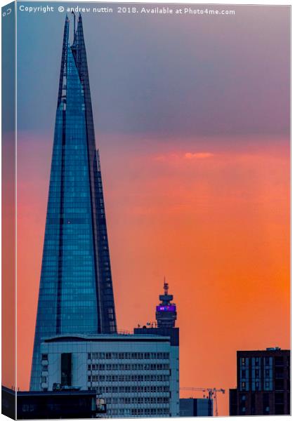 The shard, London Canvas Print by Andrew Nutting