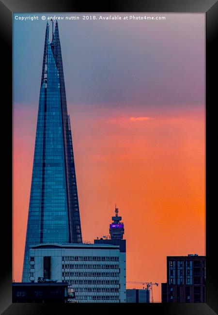 The shard, London Framed Print by Andrew Nutting