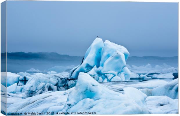 Jökulsárlón Iceberg Canvas Print by Mohit Joshi