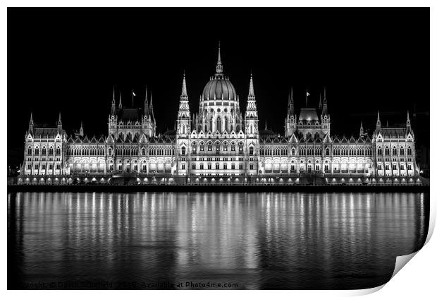 Hungarian Parliament Building Budapest Print by David Schofield