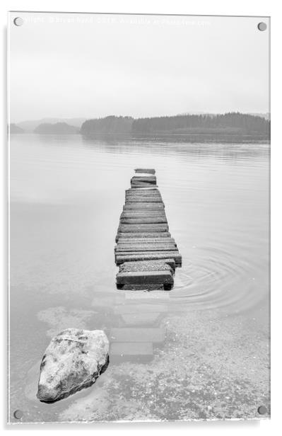 Loch Ard Jetty Acrylic by bryan hynd