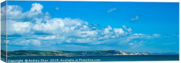 Cliffs of Weymouth, UK Canvas Print by Andrew Shaw