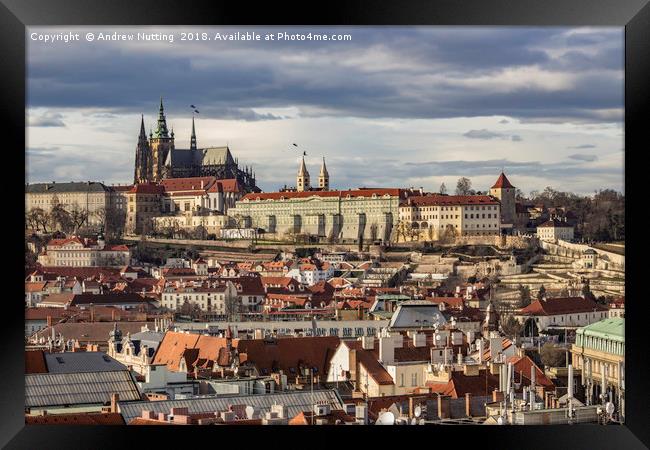 Prague Cityscape Framed Print by Andrew Nutting
