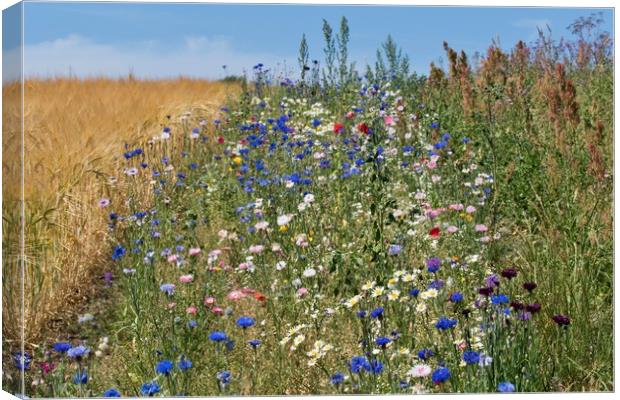 Sunny Wildflower Meadow Canvas Print by John Iddles