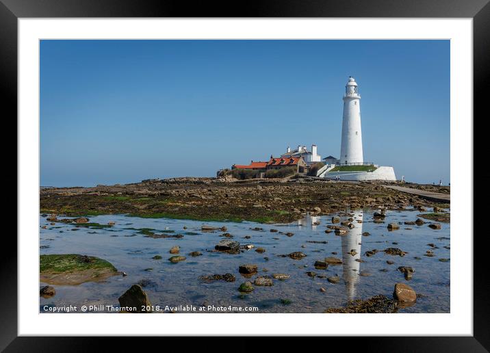 St Mary's Island and Lighthouse in mid summer. Framed Mounted Print by Phill Thornton