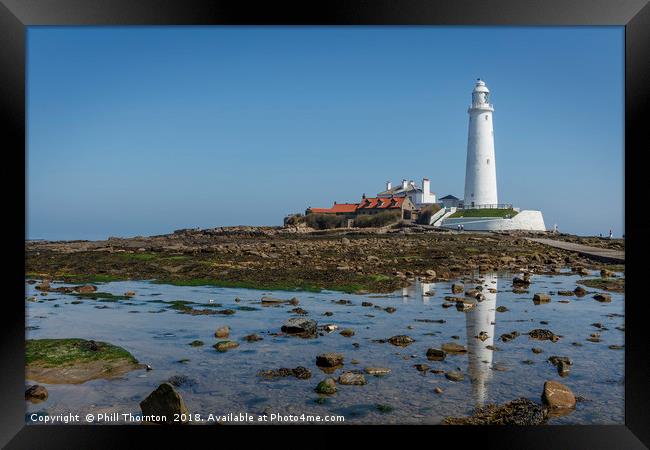 St Mary's Island and Lighthouse in mid summer. Framed Print by Phill Thornton