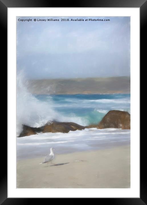Seagull on the Sand Framed Mounted Print by Linsey Williams