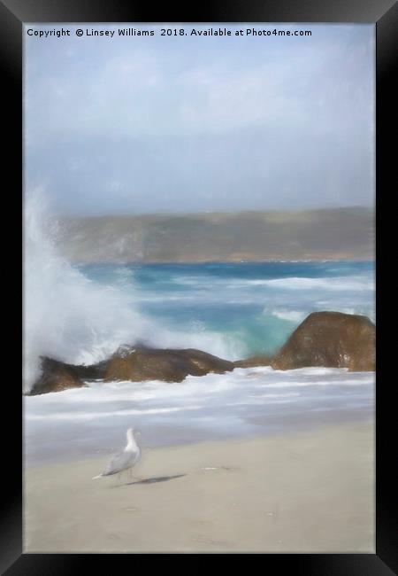 Seagull on the Sand Framed Print by Linsey Williams