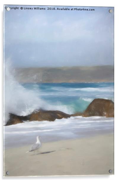 Seagull on the Sand Acrylic by Linsey Williams