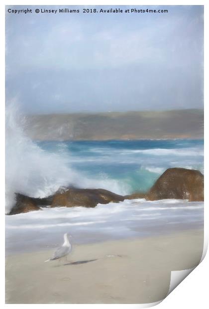 Seagull on the Sand Print by Linsey Williams