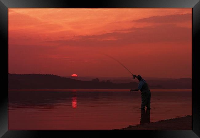 Catching The Sun Framed Print by David Lewins (LRPS)