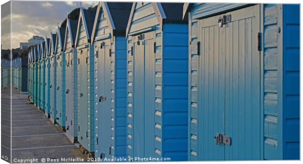 Beside the Seaside Canvas Print by Ross McNeillie