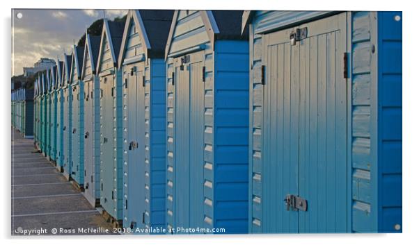 Beside the Seaside Acrylic by Ross McNeillie