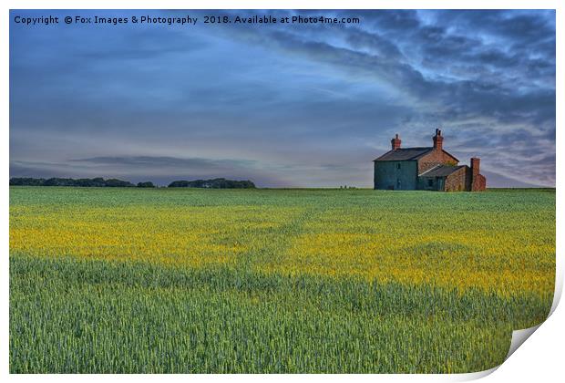 Countryside in southport Print by Derrick Fox Lomax