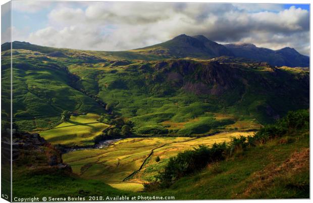 Hills and Valley in the Lake District, Cumbria Canvas Print by Serena Bowles