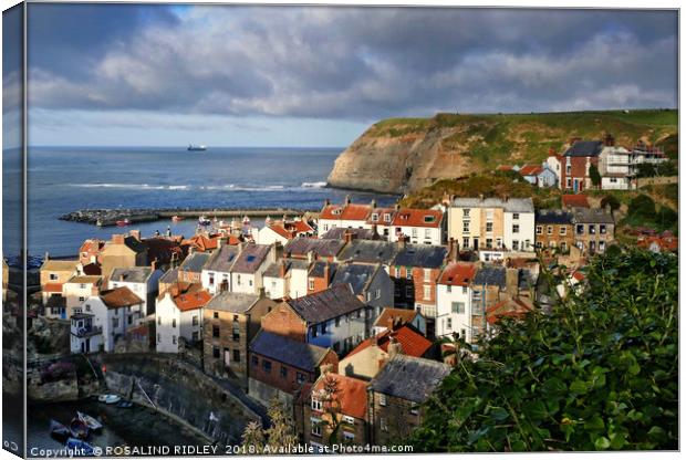 Evening Light at Staithes Canvas Print by ROS RIDLEY