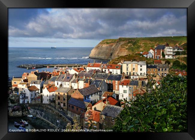 Evening Light at Staithes Framed Print by ROS RIDLEY