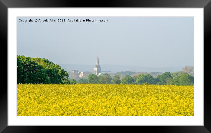 Chichester Cathedral. Framed Mounted Print by Angela Aird