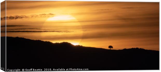 Lone tree at sunrise  Canvas Print by Geoff Beattie