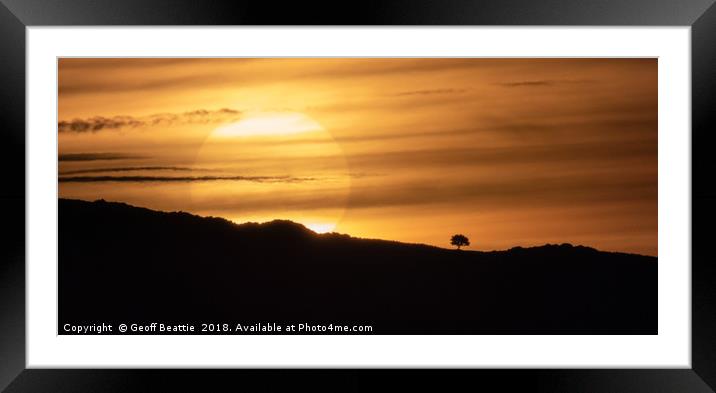 Lone tree at sunrise  Framed Mounted Print by Geoff Beattie