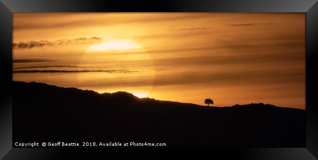 Lone tree at sunrise  Framed Print by Geoff Beattie