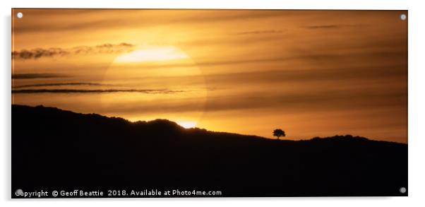 Lone tree at sunrise  Acrylic by Geoff Beattie